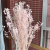 Decorative Flowers & Wreaths 60 G Natural Fresh Breath Dry Preservation Baby Flower DIY Dried Gypsophila Bouquet Home Decoration