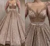Luxury Feathers Glittering Sequined Pink Prom Dresses Unique Lace 2021 Middle East Saudi Arabic Long Sleeves Evening Party Gowns Sexy V Neck Formal Wear AL8926