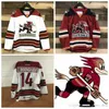 Anpassad Tucson Roadrunners 2 Andrew Campbell 35 Hunter Miska 43 Dakota Mermis 72 Ryan Macinnis Red White Ahl Hockey Stitched Jersey S-3XL