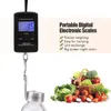 Digital Hanging Scale 40KG Portable Handy Electronic Hangings Luggage Scales Weight Measuring Tool with LCD Display WH0388