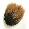 Afro Puff Drawstring Ponytail Brasilianska Virgin Human Hair Short Kinkys Curly Ombre Blond Bun Extension Hairpieces (4/27)