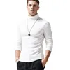 Men's Sweaters PARKLEES Mens Autumn Winter Slm Fit Turtleneck Sweater Pullover Casual Solid Knitted Men Black White Clothes