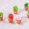 Simulation Cactus Succulent Pot Miniature Bonsai Micro-landscape Moss Terrarium Plant Decor Fairy Garden Accessory Resin Craft JJD10311