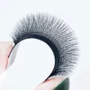 Falska ögonfransar W Formar Lashes Eyelash Extensions 3D 4D Premade Volume Fan Beauty Makeup Tool Style Faux Mink Individual6623343