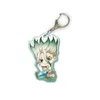 Keychains 5-10pcs Dr.Stone Keychain Ishigami Senkuu Tsukasa Amber Chrome Asagiri Gen Figure Key Ring Toy Decor Gift Miri22