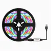 USB-LED-Streifenlichter RGB DC 5V SMD2835 Flexibles Band Fita TV-Licht 50CM 5M-Band RGBW-Fernbedienung Neon