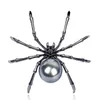 Stift broscher viktorianska pärlemor kropp och mikropindel spindel kvinnor smycken 875b SeaU2222