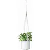 Modernals Leather Plant Hanger Krukor Växter Hangings Strap Modern Wall Tak Hanging For Flower Pot Indoor Outdoor Zyya994 1487 T24229701