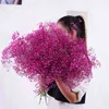 Natürliche frische getrocknete konservierte Blumen Gypsophila Paniculata, Schleierkraut-Blumensträuße Geschenk für Hochzeitsfeier-Dekoration 211101