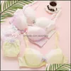 Bras Sets Womens underwear Apacerel Sexy Кружева Женщины Ремни Бюстгальтер Set Вышивка Элегантная Brassiere Отель Out Bralette Push Up 4788 Падение Доставка