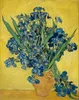 Handgeschilderde Van Gogh-bloem olieverfschilderij op canvasvaas met irissen tegen een gele achtergrond, 1890 Wall Art Pictures for Hotel Dinning Room Home Decor Geschenken