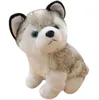 Kinderen Speelgoed Leuke Simulatie Puppy Husky Doll Knuffels Geschenken Kinderen Kerstcadeau Gevulde Dieren Dolls Paren Cadeaus