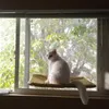 ペット猫ハンモック快適な日当たりの良いガラス窓猫棚座席マット子猫休憩寝ているぶら下がっているベッド20kg 210722
