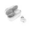 Wireless Earphones with Bluetooth 5.0 Stereo SMS-t14 Earbuds Typc-c Port package have retail box hook