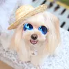 Vêtements pour chiens 1pcs Chapeau pour animaux de compagnie à la mode Chat Cool Chapeaux de paille Chapeaux de soleil Fournitures pour chiots Accessoires de style hawaïen Chiens Chats Casquettes Country304F