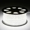 SMD 5050 AC220V LED-remsor Flexibelt ljus 60LED / m Vattentät LED-tejpbelysning med strömkontakt 2m / 3m / 4m / 5m d2.5