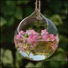 Vases Home Décor & Garden Ball Globe Shape Clear Hanging Glass Vase Flower Plants Terrarium Container Micro Landscape Diy Wedding Decoration