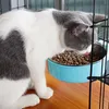 Ciotola per animali domestici ciotola stazionaria ciotole gabbia per gatto inossidabile gatto appeso a cucciolo durevole alimentazione acqua