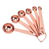 Cucchiaio dosatore in acciaio inossidabile Set di strumenti Set di misurini in oro rosa di lusso Set di misurini per utensili da cucina Accessori per la cottura SN2658