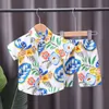 Children's Clothing Sets Short Sleeve Beach Suit for Children In Summer