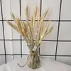 Buquê de orelha de trigo seco natural com flores secas 100 para decoração de sala de estar, arranjo floral, janela de shopping, layout chen mei