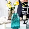 Vasos japonês retro alívio largo vaso de vidro vaso nórdico hidropônico arranjo de flores desktop planta garrafa casa decoração
