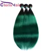 Pre-Colored Green Ombre Raw Virgin Indian Straight Weft Bundles Two Tone 1B Turquoise Human Hair Weave 3pcs Exquisite Sew In Extensions On Sale