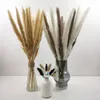 30 stks Dekoratie Natuurlijke gedroogde bloemen Pampas Grass Echte kunstmatige planten Wedding Bunch Christmas Decorations For Home Decor281963623375