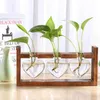 Glass Wood Vase Planter Terrarium Table Desktop Hydroponics Plant Bonsai Flower Pot Hanging Pots with Wooden Tray 210409