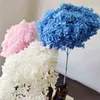 1Bunch / 40x20cm / 30colors Anna Hydrangea Hela gren bevarade torkad blomma bukett POGRGRAPH HOME DESKTOP GARDEN DECORATION 211027