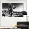 Noir et Blanc Toile Art Africain Éléphant Affiches Imprime Mur Photos Pour Salon Moderne Quadros Décoration