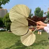 1pc Fiore essiccato Naturale Pu Fan Leaf Per DIY Home Shop Display Decorazione Materiali Conservati Foglie Palma Per Wedding Decor 1186 V2