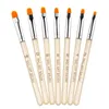 Professional Manicure UV Gel Brush Pen Transparent Acrylic Nail Art Painting Drawing Brushes Phototherapy Tools salon