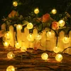decorativi luci dell'albero solari