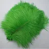 200pcspack 1012 tum Ostrich Feather Party Decoration Plume Craft levererar bröllopbord Centerpiecesweb Celebrity Wall Decorat7086939