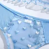 NXY Seksi Set Aduloty Şeffaf Perspektif Yeni Moda Mavi Ve Beyaz Aşk Nakış Desen Erotik Lingerie Sutyen Bayan İç Takım 1128