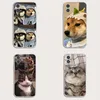 Animal Kitten en Puppy Cell Phone Cases Cover voor 13, 12 Transparante TPU Soft Shell 8 XS 11