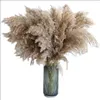 Stems Raw Color Plume Wedding Decor Flower Bunch Small Pampas Grass Home Reed Natural Plant Ornaments Bouquet Dried Artificial Flowers Fall Fluffy Decoration