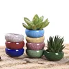 YeFine Ice-Crack Keramik-Blumentöpfe für saftige Pflanzen, Heim- und Gartendekoration, Mini-Sukkulenten-Pflanzgefäße 210922
