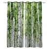 Zasłona zasłona rośliny brzozy zielone zasłony lasu do salonu nowoczesne okno rolety