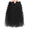 Brasilianska hårvävbuntar Deal Brasilianska Kinky Curly Human Hair Extension 100% Obehandlad Brasiliansk Afro Kinky Curly Hair Buntar