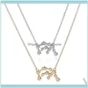 ネックレスジュエリー1PCチェーンネックレスAquarius Zodiac Sign Astrology Pendants Gold Sier Plated Color Men Men Color Men Chids Birthday Gift Chains Dro