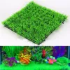 green fish tank water