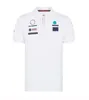 2021 F1 Formuła pierwsza kombinezon wyścigowy Logo Drużyna Rally Rally Rally Racing Suit T-shirt Mężczyzna pamiątkowy koszulka polo Pół-262V