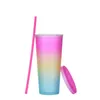 Tazze da caffè da 24 once Bicchieri magri in acrilico Colori opachi Doppia parete Riutilizzabile Bere plastica Sippy Cup con coperchio Cannucce Colore arcobaleno