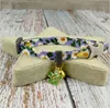 Summer puppy rabbit universal leisure cat green Korean cat pet kittens collar cat collar 2021 suitable for all festivals