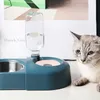 Creative Double Bowl Automatic Water Refill Pet Drinking Stor-kapacitet Cat Dog Food Bowls Anti-Wet Mouth Cats Dricks Fountain XG0282