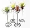 Wholesale Garden Decorations Air Plant Stand Holder Black Iron Spiral Flower AirPlant Container Tillandsia DAA99