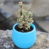 colorful flower pots planters for succulents indoor herb mini potted plants for office decoration garden home accessories