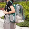 Coprisedili per auto per cani Borsa da viaggio spaziale espandibile traspirante di alta qualità Zaino per gatti portatile trasparente QET CARRIER For239r